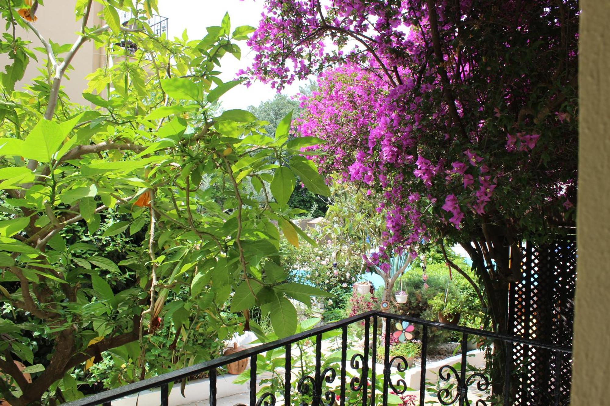 Tunacan Hotel Oludeniz Luaran gambar